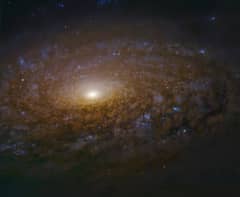 Preview of NGC 3521 Close Up