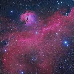 Preview of The Seagull Nebula