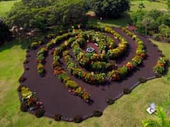 Preview of Kona Galaxy Garden