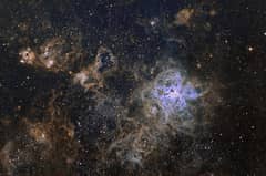 Preview of The Cosmic Web of the Tarantula Nebula