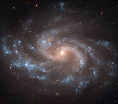 Preview of NGC 5584: Expanding the Universe