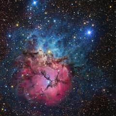 Preview of A Beautiful Trifid