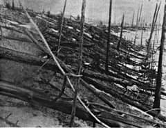 Preview of Tunguska: The Largest Recent Impact Event