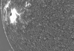 Preview of A Large Tsunami Shock Wave on the Sun