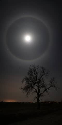Preview of A February Moon's Halo