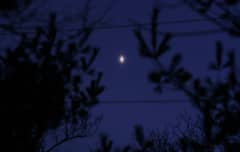 Preview of An Unusual Venusian Oval