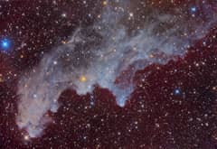 Preview of IC 2118: The Witch Head Nebula
