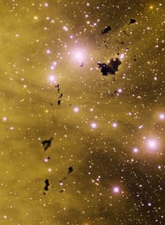 Preview of Thackeray's Globules