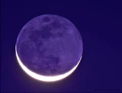 Preview of The New Moon in the Old Moon's Arms