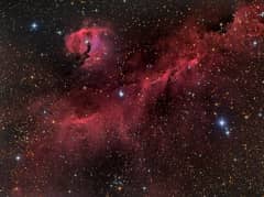 Preview of The Seagull Nebula