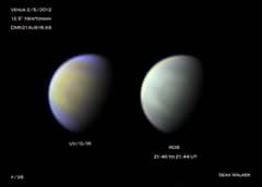 Preview of Multicolor Venus