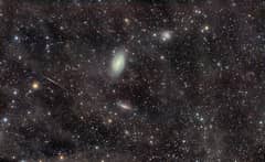 Preview of The M81 Galaxy Group Through the Integrated Flux Nebula