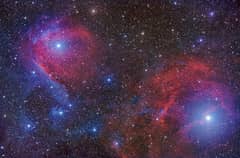 Preview of Scorpius in Red and Blue