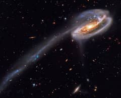 Preview of Arp 188 and the Tadpole's Tail