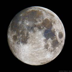 Preview of On a Blue Moon