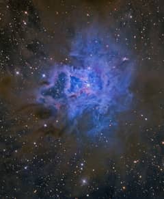 Preview of NGC 7023: The Iris Nebula