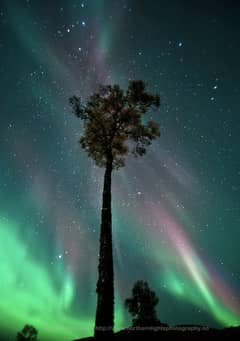 Preview of September's Aurora