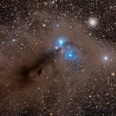 Preview of Stars and Dust Across Corona Australis