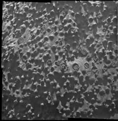 Preview of Unusual Spheres on Mars