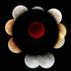 Preview of Lunar Eclipses