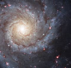 Preview of M74: The Perfect Spiral