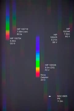 Preview of A Spectrum of Nova Delphini