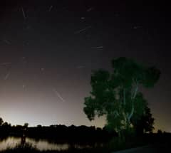 Preview of Perseid Meteors Over Ontario