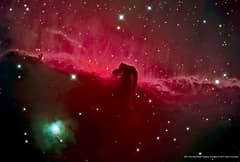 Preview of The Horsehead Nebula