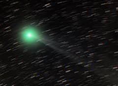 Preview of Comet Lemmon near the South Celestial Pole