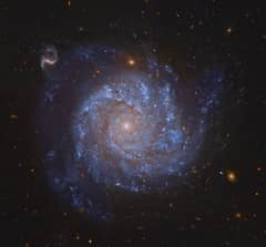 Preview of NGC 1309: Spiral Galaxy and Friends
