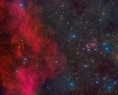 Preview of Barnard Stares at NGC 2170