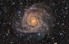 Preview of Hidden Galaxy IC 342