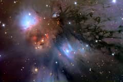 Preview of NGC 2170: Still Life with Reflecting Dust