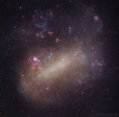 Preview of The Large Cloud of Magellan