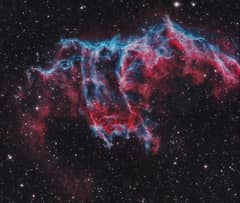 Preview of A Spectre in the Eastern Veil