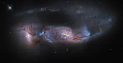 Preview of Arp 81: 100 Million Years Later