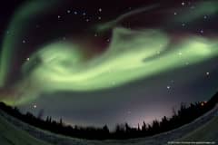 Preview of Aurora Dog over Alaska