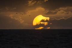 Preview of A Partially Eclipsed Setting Sun