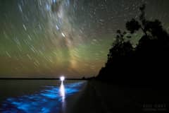 Preview of A Luminous Night