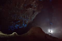 Preview of The Starry Sky under Hollow Hill