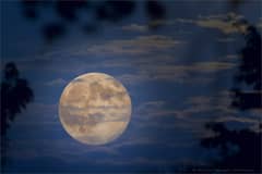 Preview of Surreal Moon