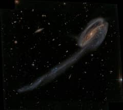 Preview of Arp 188 and the Tadpole's Tail