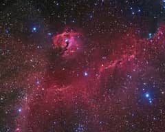 Preview of The Seagull Nebula