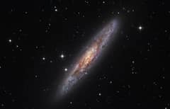 Preview of NGC 253: Dusty Island Universe