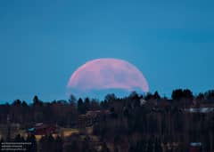 Preview of A Strawberry Moon