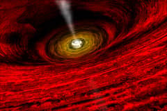 Preview of The View Near a Black Hole
