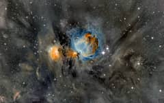 Preview of Orion Nebula in Surrounding Dust