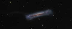 Preview of The Tail of the Hamburger Galaxy
