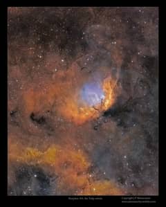 Preview of The Tulip Nebula