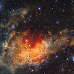 Preview of Star Formation in the Tadpole Nebula
